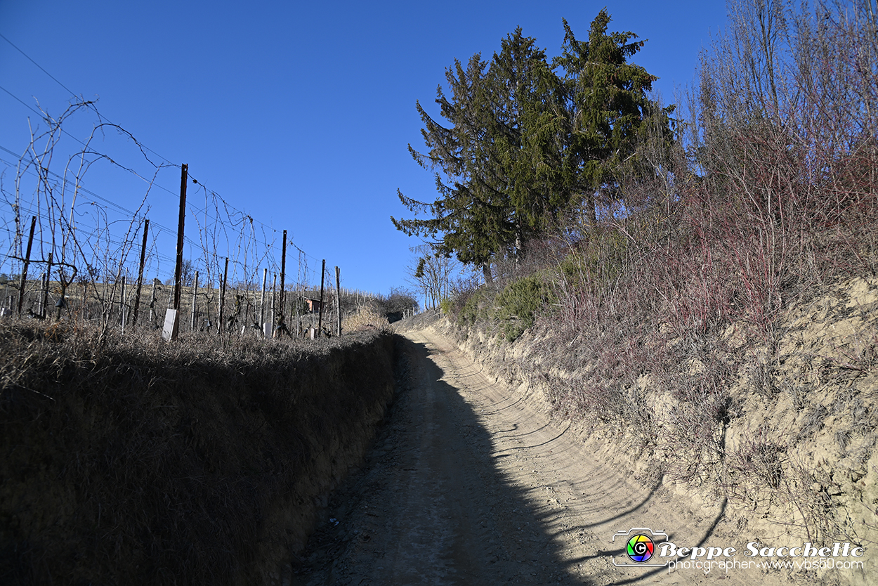 VBS_0845 - Corneliano d'Alba.jpg